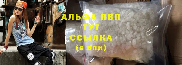 прущие грибы Кулебаки