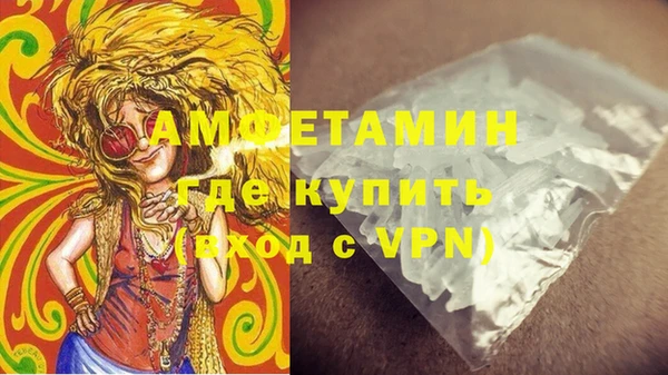 прущие грибы Кулебаки