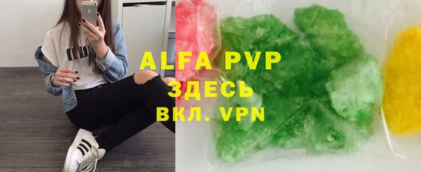 прущие грибы Кулебаки