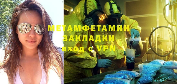 прущие грибы Кулебаки