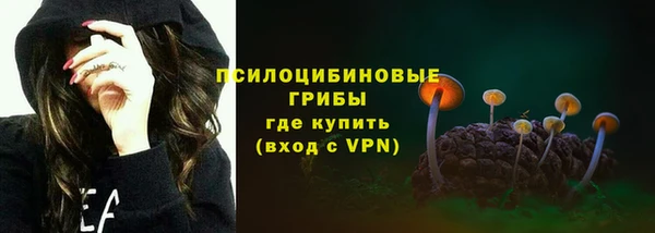 прущие грибы Кулебаки