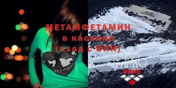 прущие грибы Кулебаки