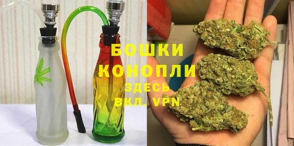 прущие грибы Кулебаки