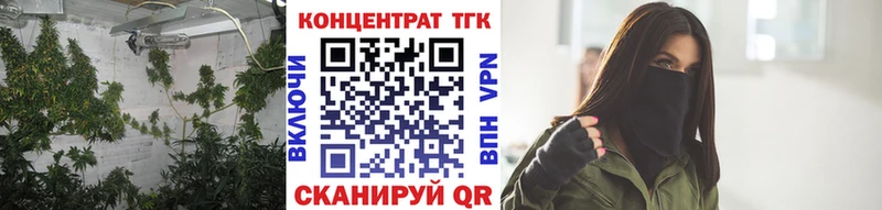 дарнет шоп  Иноземцево  ТГК THC oil 